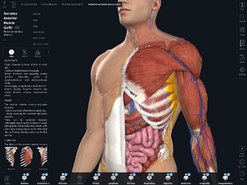 3d4medical Complete Anatomy